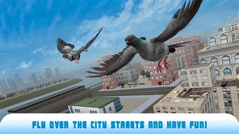 IPigeon Web App .
